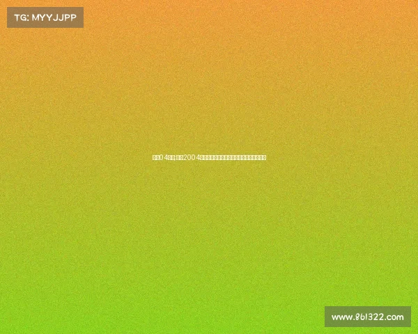 沈阳04赛事;沈阳2004年经典赛事全景回顾重温激情岁月光辉历程