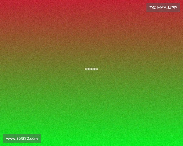 游泳比赛赛事流程