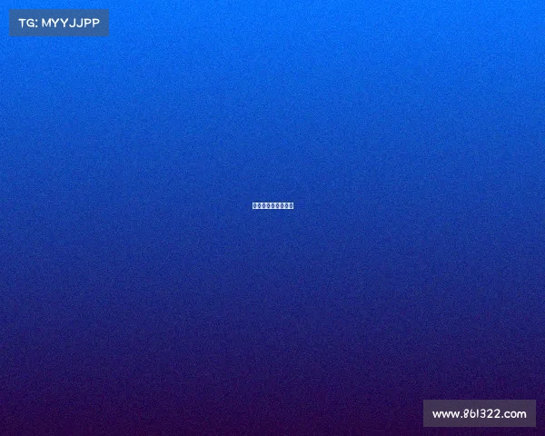 李宗伟经典比赛视频